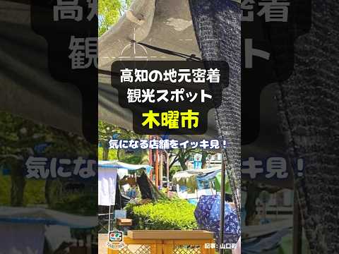 【観光スポット】高知の地元密着「木曜市」気になる店舗をイッキ見！ #shorts #木曜市 #高知 #日曜市 #街路市 #田舎ずし #サンドイッチ #露店 #ソウルフード #焼き菓子 #干物 #釜揚げ