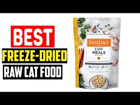 ✅Top 5 Best Frozen and Freeze Dried Raw Cat Food in 2024