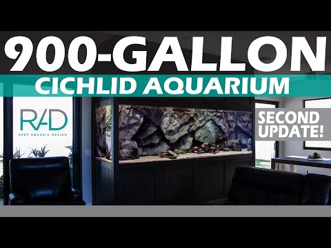 900-GALLON STARPHIRE FRONT GLASS CICHLID AQUARIUM BY REEF AQUARIA DESIGN - FORT LAUDERDALE, FLORIDA