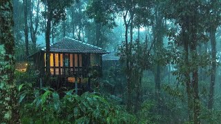 Deep Sleep Instantly in Tropical Garden with Heavy Rainstorm & Thunder Around a Wooden Old House