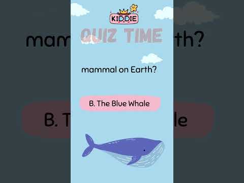 Guess The Animal Quiz Funny Game for Kids (P. 1) - #animalquiz #funlearning #educationalgame