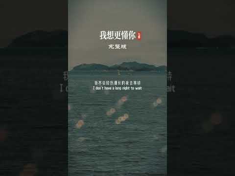 苏芮潘玮柏合唱的一首经典歌曲《我想更懂你》完整版