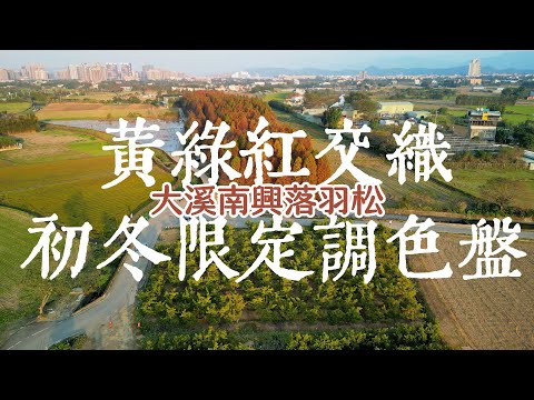 Way Maker - Leeland丨桃園大溪丨黃綠紅交織丨初冬限定調色盤丨南興落雨松丨空拍丨Mini 3 Pro