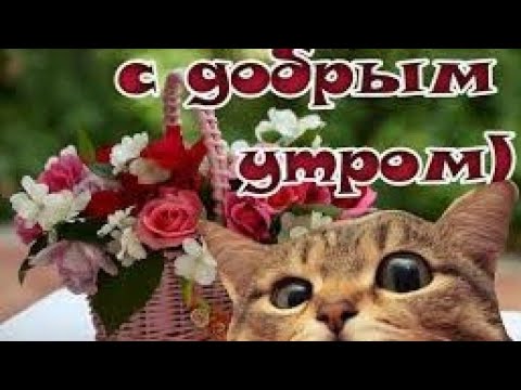 С Добрым Позитивным Утром Вас/Проснулись и Улыбнулись/Классная,бодрящая музыка/Супер открытка/