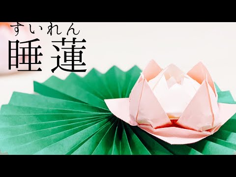 【折り紙】睡蓮の花（蓮の花）の折り方  スイレンとハスの違いは何？夏の花