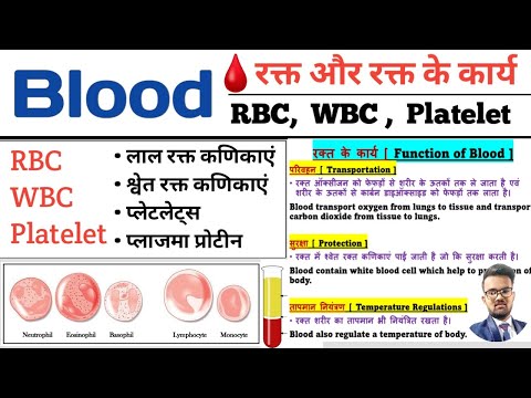 Human Blood | रक्त परिसंचरण तंत्र | RBC | WBC | Platelet | Plasma | Function of Blood | Blood Cell