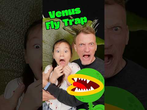 Venus Fly Trap : Carnivorous Plants | Nature's Wonders | STEM with Ailani's Little World