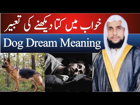 Khwab mein kutta dekhna | dog dream meaning | Qari Abdul Basit Salfi