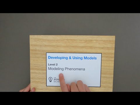 Modeling Phenomena