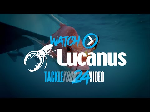 SHIMANO TACKLE TOUR 2024: Lucanus Jigs