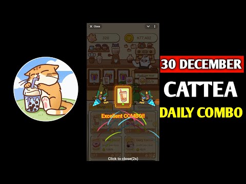 Cattea Daily Combo 31th December | Cattea Today's Daily Combo | Daily Combo Cattea | Cattea Airdrop