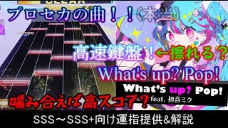 [チュウニズム] What's up? Pop! SSS～SSS+向け運指提供&解説