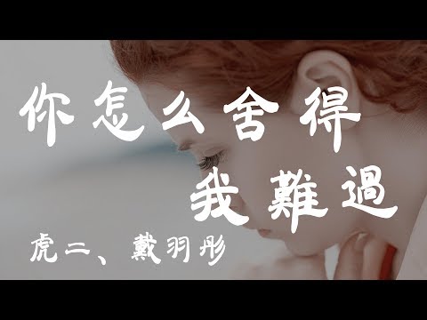 你怎麼捨得我難過 - 虎二/戴羽彤 - 『超高无损音質』【動態歌詞Lyrics】