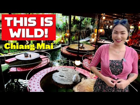 Carp Cafe in Chiang Mai - You Have To See This Unbelievable Fish Cafe!