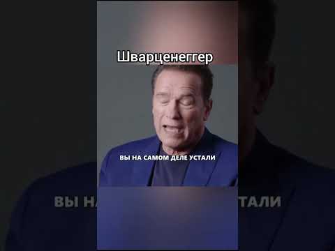 Арнольд Шварценеггер - Правило 40 процентов