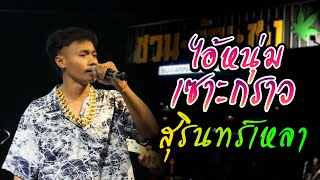 ไอ้หนุ่มเซาะกราว l สุรินทร์เหลา l สุดท้ายอ้ายกะเจ็บ [[ COVER VERSION ]]เอ็กซ์ อลงกรณ์