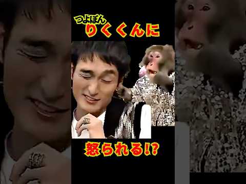 SMAP "つよぽん りくくんに怒られる!?" 痛恨のドロップキック！