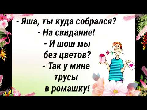 Юмор.Веселые анекдоты для настроения и позитива.Приколы!Шутки!