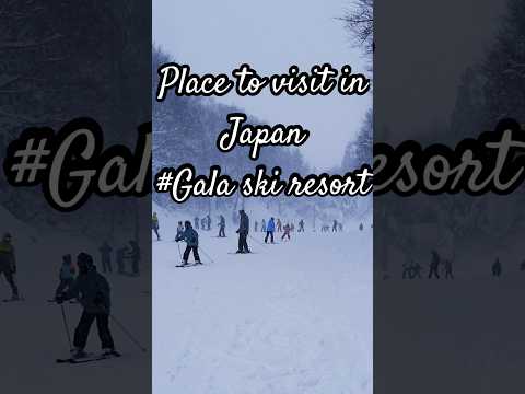 Gala ski resort 2024. #japan #japantravel #gala #galaskiresot #japanwinter #ski #snow #japantourism