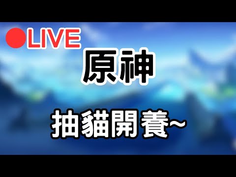 【原神 4.2 Genshinimpac】養貓貓環節~ #1129