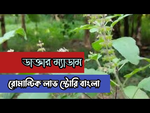 ডাক্তার ম্যাডাম  || রোমান্টিক লাভ স্টোরি বাংলা || Anika Dairy