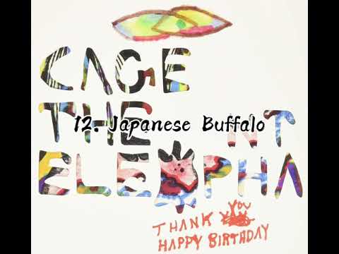 Ranking every song from Cage The Elephant - Thank You Happy Birthday