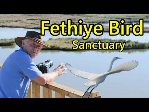 Fethiye / Çalış Bird Sanctuary