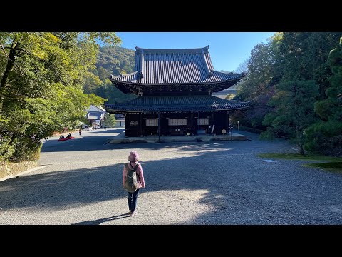 泉涌寺的本堂-御座所庭園 / Sennyu-ji Temple , visited on 11-22-2023