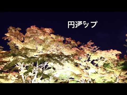 「松島町の魅力発信コンテンツ！観光ＤＸを活用！！」