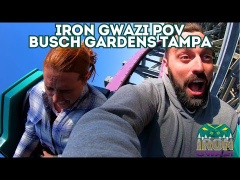 Iron Gwazi Back Row POV Busch Gardens