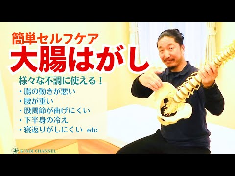 【腸の動き改善！】いろんな不調に使えるセルフケア。大腸と骨盤のスキマをはがしてみよう！