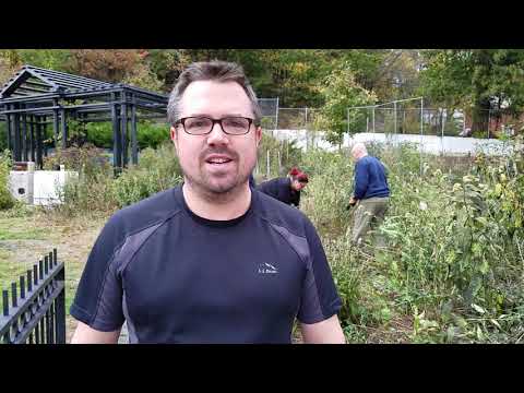 Fall Cleanup & Garden Bed Build at Gateway Park Community Garden