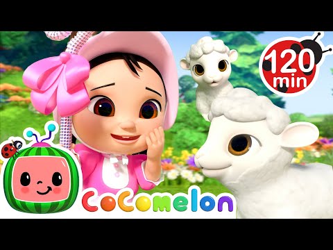 Little Bo Peep and Sheeps! 🐑 | CoComelon Nursery Rhymes and Kids Songs | Animals for Kids