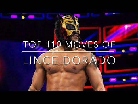 Top 110 Moves of Lince Dorado