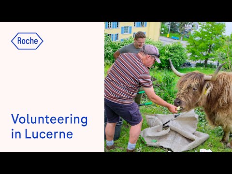 Volunteering in Lucerne