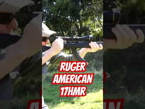 Ruger American 17HMR #ozziereviews #shooting #17hmr #22mag #22magnum #22wmr #22lr #victorprecision