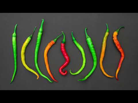 Stop Motion Peppers | Copyright Free Video Footage