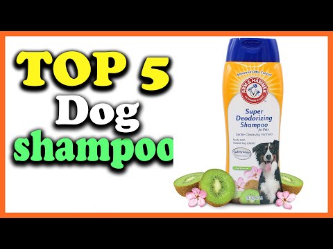 ✅Best Dog Shampoo in 2023