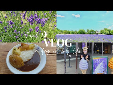 【旅vlog】夏・北海道DAY3 富良野｜ファーム富田の絶品！じゃがいもカレーライス｜青い池｜十勝岳望岳台