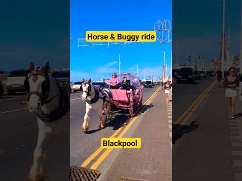 Horse and Buggy ride blackpool #blackpool #uk #travel #shorts