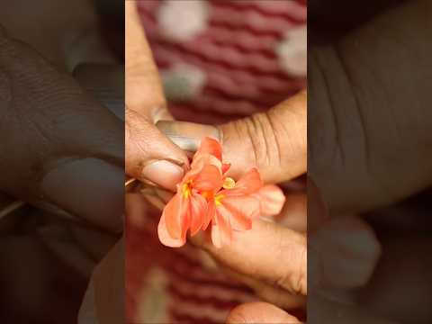 #shorts | Flowers Tying