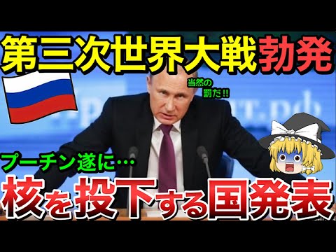 【ゆっくり解説】ロシアが核を落とす国を発表された・・【ゆっくり軍事プレス】