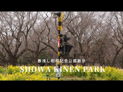 【春浅し昭和記念公園】午後の遅い時間、春を探しに