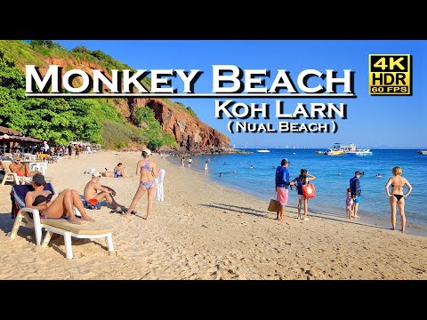 Monkey Beach Nual Beach Koh Larn Beach Walk 4K 60fps HDR  Dolby Atmos 💖 Walking Tour 👀 Thailand 🇹🇭