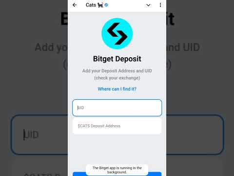 Easy method To deposit You're Cat's in bitget Exchange 💱🤑