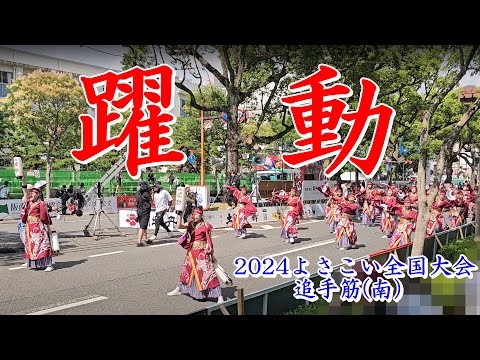 躍動　2024よさこい全国大会　追手筋（南側）　2024年8月12日14:35～　【4k60fps】