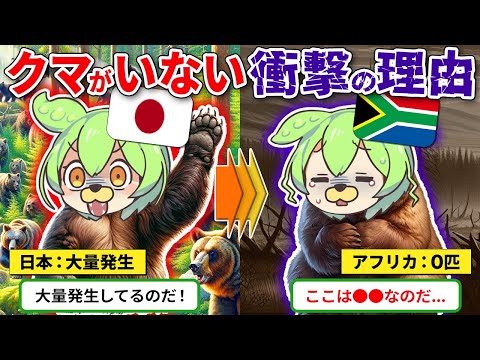 なぜアフリカ大陸にクマはいないのか？【ずんだもん解説】