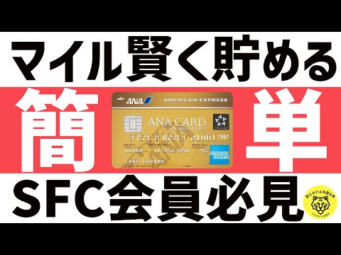 ANAアメックスゴールドカード徹底解説！特典から年会費まで知っておくべき全て