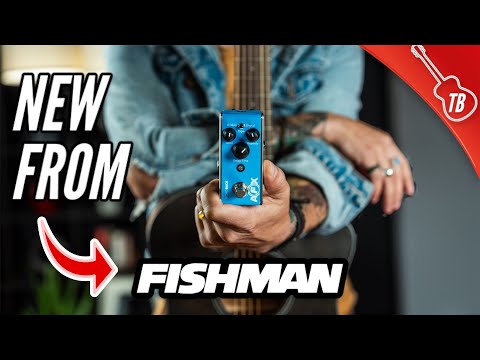 Fishman AFX Mini Delay & Chorus Pedals - ULTIMATE GUIDE