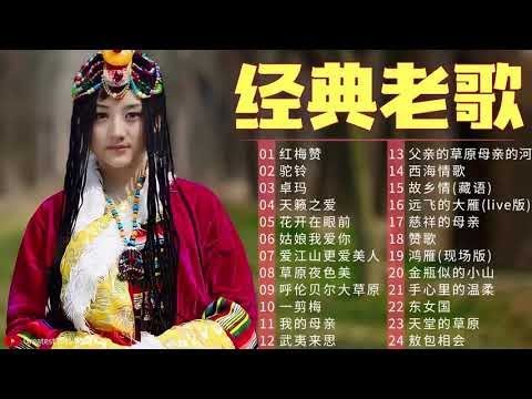 【中國藏歌】【经典老歌】西藏民歌 | Tibetan Chinese Songs   中國藏歌《红梅赞，驼铃，卓玛，天籁之爱，花开在眼前》等，